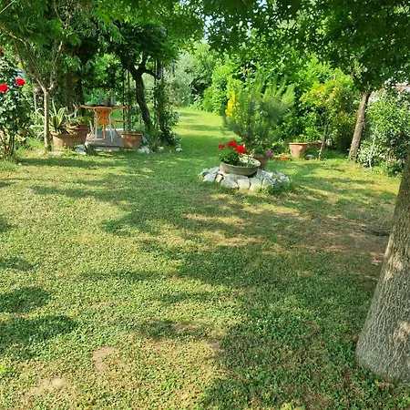 Il Nido Di Irene E Sofia Lucca