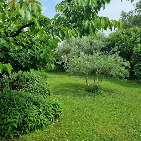 Il Nido Di Irene E Sofia Vakantiehuis Lucca