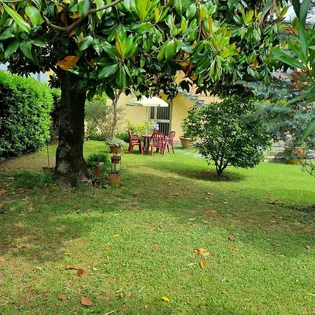 Il Nido Di Irene E Sofia Semesterbostad