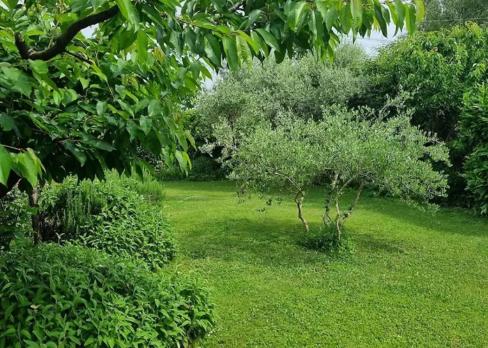 Il Nido Di Irene E Sofia Nyaraló Lucca