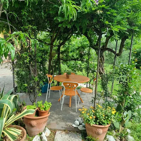 Holiday home Il Nido Di Irene E Sofia Lucca